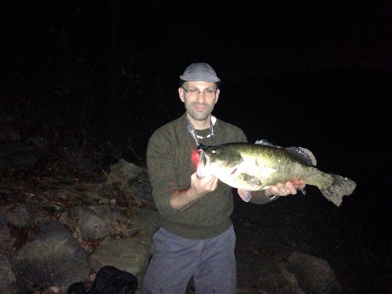 8.0 lb largemouth