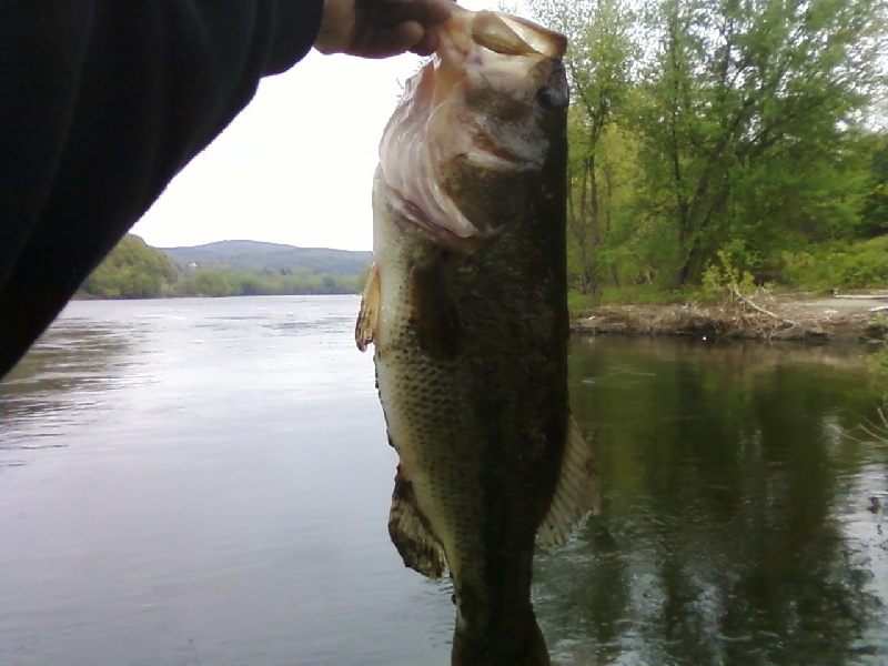 connecticut river