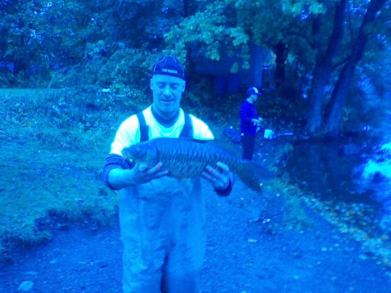 Carping in the Fog