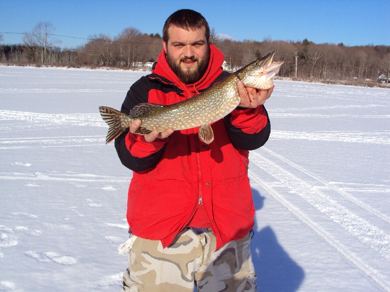 Northern Pike